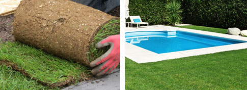 gazon rouleau piscine jardin 5a3