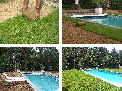 pelouse en plaques 4eb