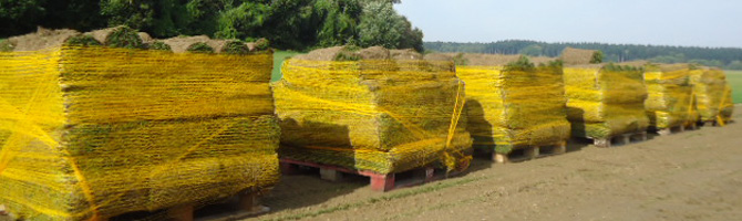 Question livraison du gazon en rouleau