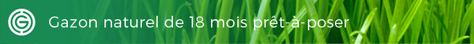 gazon duguet gazon naturel 2b5