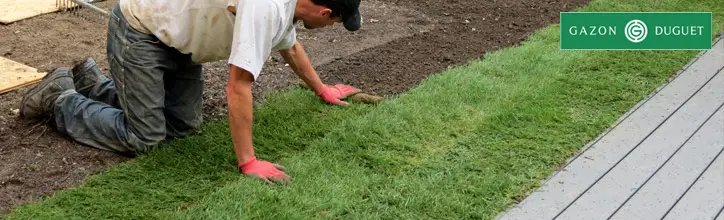 2 commencez pose gazon