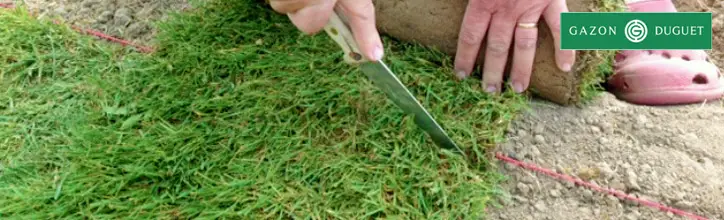 4 coupe gazon en rouleau