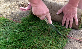 devis et tarif gazon de placage pose