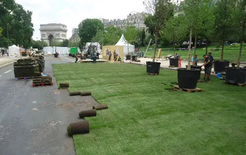 engazonnement avenue foch paris