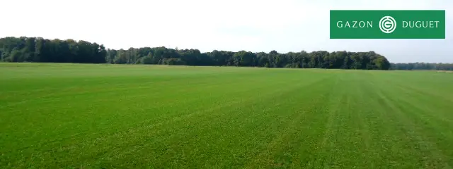 gazon duguet gazonniere