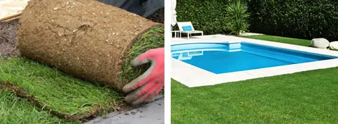 gazon rouleau piscine jardin