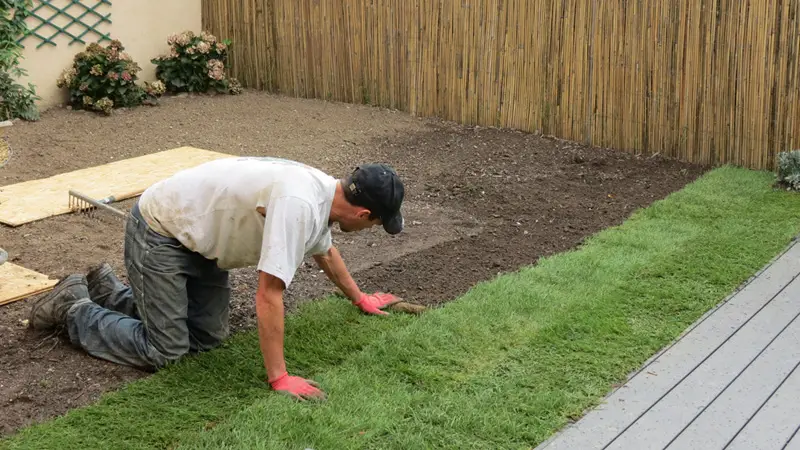 pose du gazon dans le 91