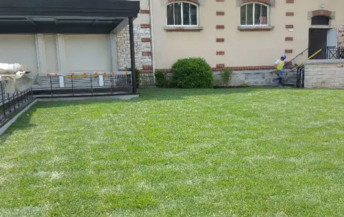 pose rouleaux gazon particulier tremblay en france