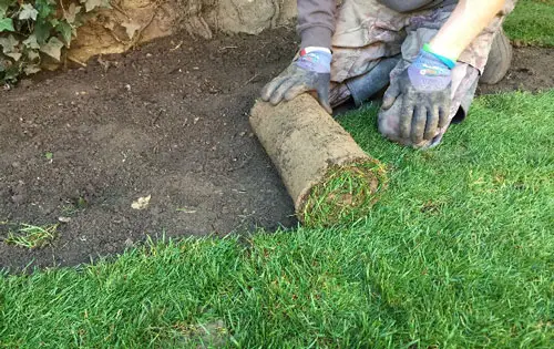 pose rouleaux gazon 4