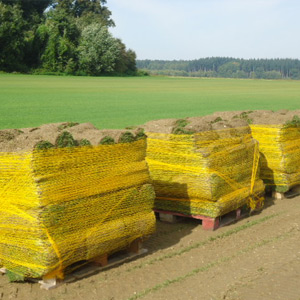 production gazon en rouleau livraison