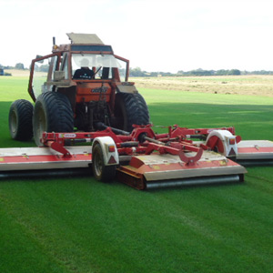 production gazon en rouleau tonte