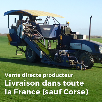 vente direct producteur gazon duguet gazon et pelouse en rouleau