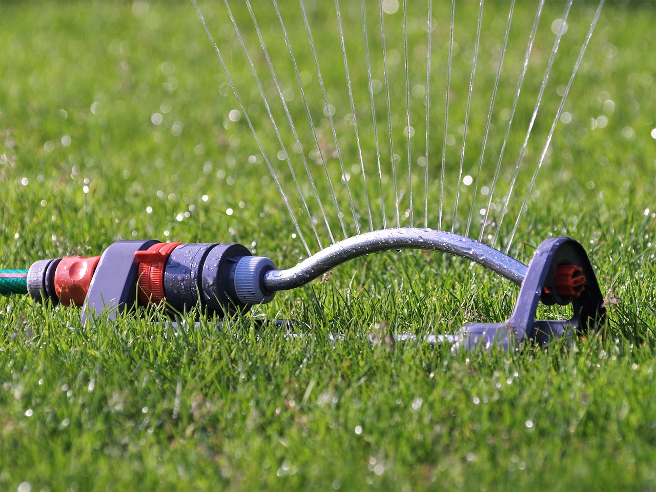 arrosage du jardin