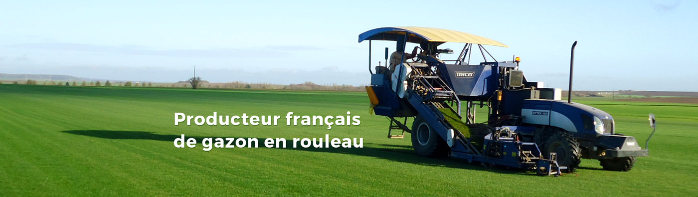 Gazonnière Gazon Duguet