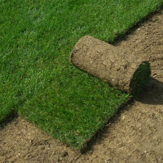 gazon en rouleau duguet 1e7