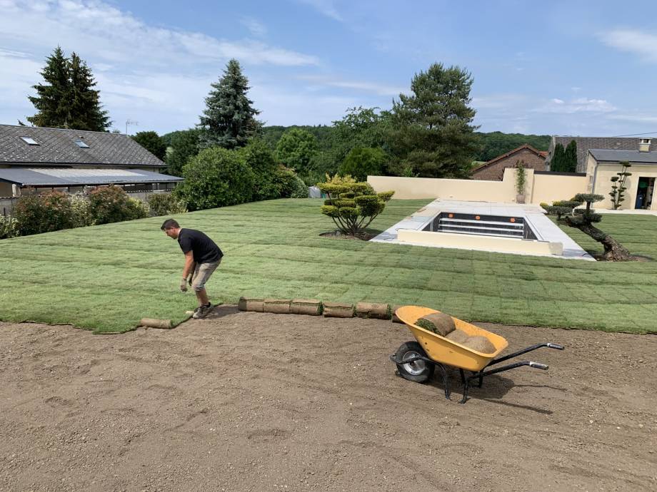 Gazon en rouleau prêt à poser