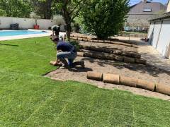 Pose des rouleaux de pelouse