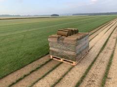 Palette de gazon en rouleau